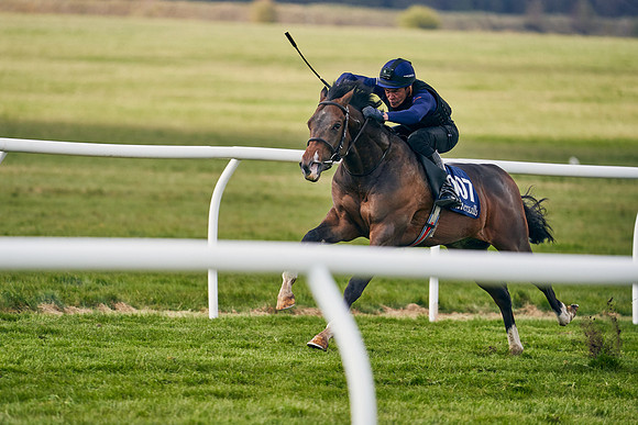 2021-04-12-Dominic-James-Craven-Breeze-Up-Sales-1342