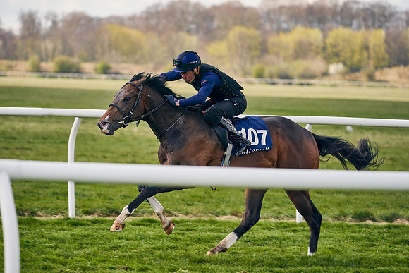 2021-04-12-Dominic-James-Craven-Breeze-Up-Sales-1343