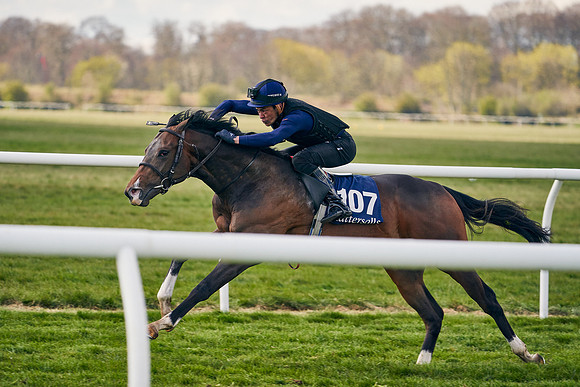 2021-04-12-Dominic-James-Craven-Breeze-Up-Sales-1344