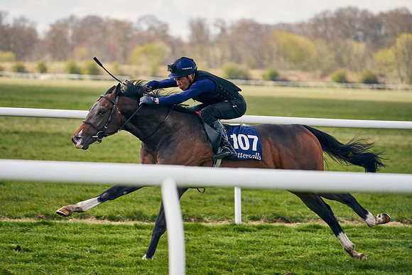 2021-04-12-Dominic-James-Craven-Breeze-Up-Sales-1345