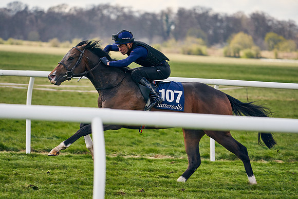 2021-04-12-Dominic-James-Craven-Breeze-Up-Sales-1346