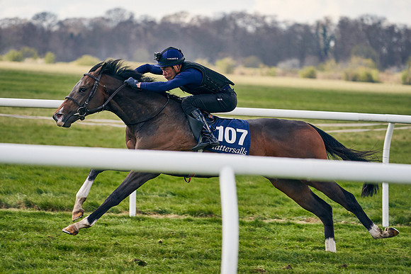 2021-04-12-Dominic-James-Craven-Breeze-Up-Sales-1347