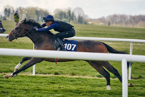 2021-04-12-Dominic-James-Craven-Breeze-Up-Sales-1350