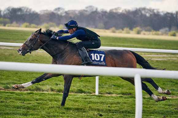 2021-04-12-Dominic-James-Craven-Breeze-Up-Sales-1348
