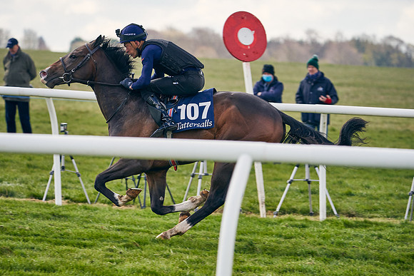 2021-04-12-Dominic-James-Craven-Breeze-Up-Sales-1351