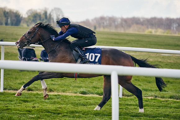 2021-04-12-Dominic-James-Craven-Breeze-Up-Sales-1349