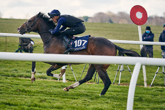 2021-04-12-Dominic-James-Craven-Breeze-Up-Sales-1352