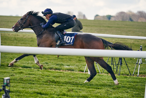 2021-04-12-Dominic-James-Craven-Breeze-Up-Sales-1353