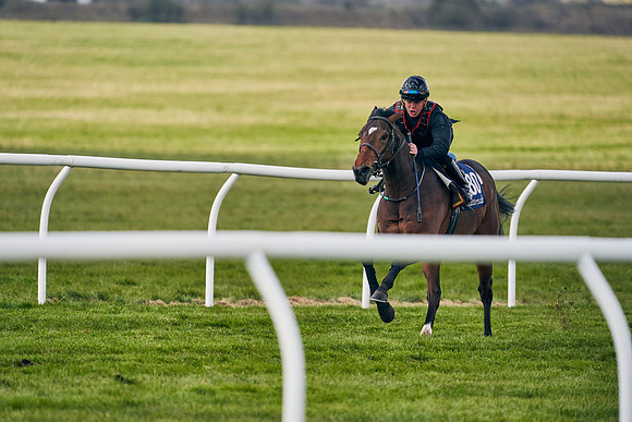 2021-04-12-Dominic-James-Craven-Breeze-Up-Sales-1356