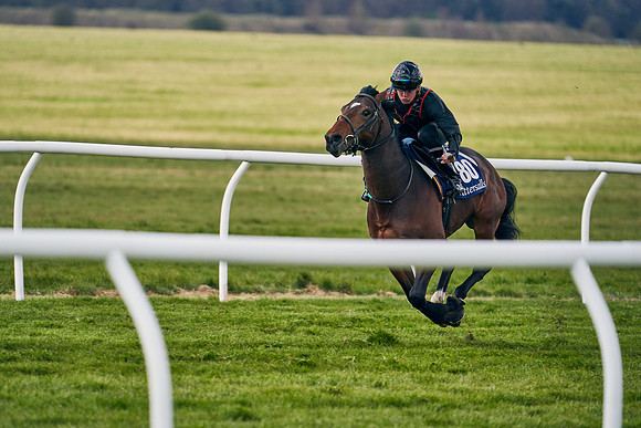 2021-04-12-Dominic-James-Craven-Breeze-Up-Sales-1357