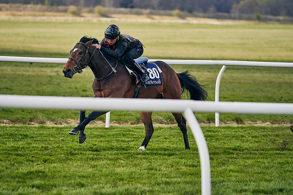 2021-04-12-Dominic-James-Craven-Breeze-Up-Sales-1358