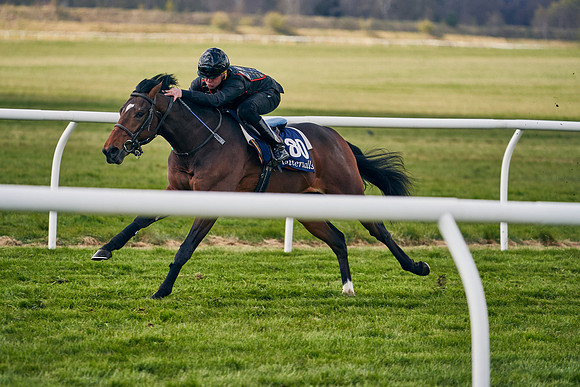 2021-04-12-Dominic-James-Craven-Breeze-Up-Sales-1359