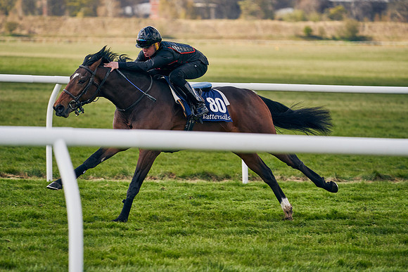 2021-04-12-Dominic-James-Craven-Breeze-Up-Sales-1360