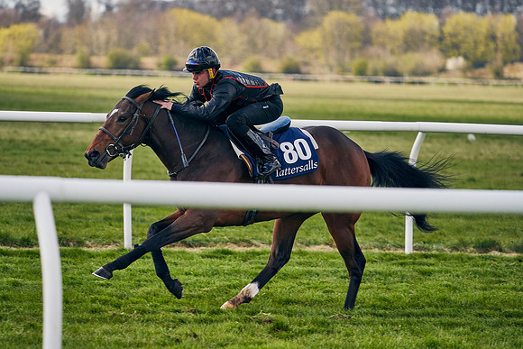 2021-04-12-Dominic-James-Craven-Breeze-Up-Sales-1361