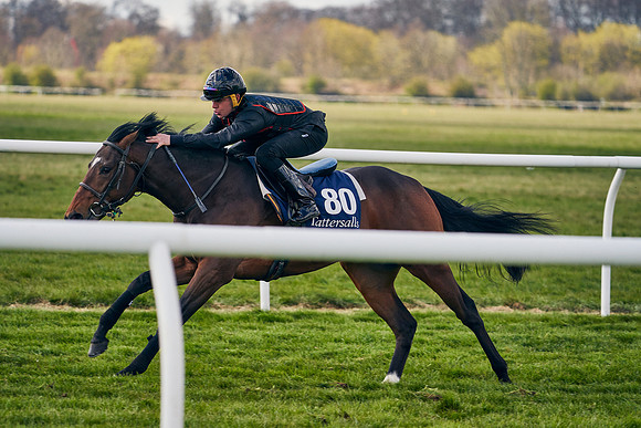 2021-04-12-Dominic-James-Craven-Breeze-Up-Sales-1362
