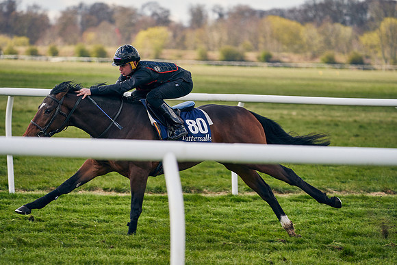 2021-04-12-Dominic-James-Craven-Breeze-Up-Sales-1363