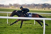 12th April Craven Breeze Up Sale 007