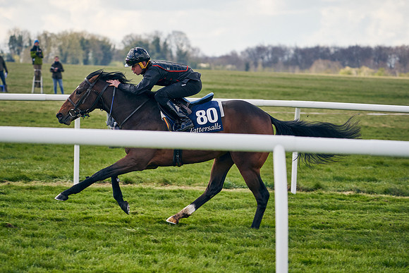 2021-04-12-Dominic-James-Craven-Breeze-Up-Sales-1366