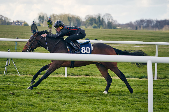 2021-04-12-Dominic-James-Craven-Breeze-Up-Sales-1367