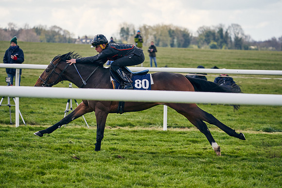 2021-04-12-Dominic-James-Craven-Breeze-Up-Sales-1368