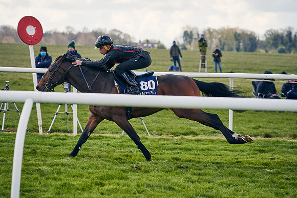 2021-04-12-Dominic-James-Craven-Breeze-Up-Sales-1369