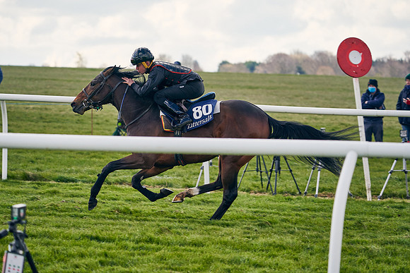 2021-04-12-Dominic-James-Craven-Breeze-Up-Sales-1370