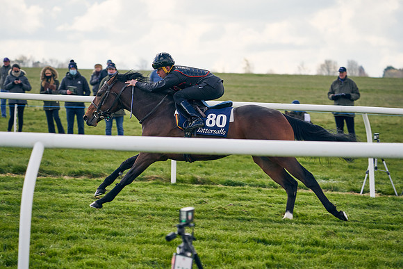 2021-04-12-Dominic-James-Craven-Breeze-Up-Sales-1371