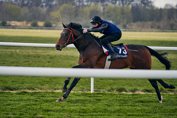 2021-04-12-Dominic-James-Craven-Breeze-Up-Sales-1376