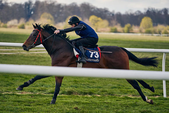 2021-04-12-Dominic-James-Craven-Breeze-Up-Sales-1379