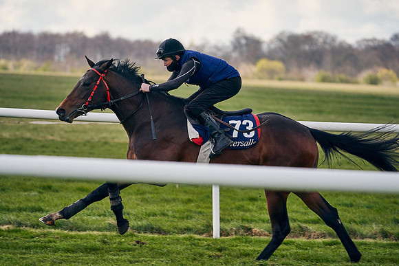 2021-04-12-Dominic-James-Craven-Breeze-Up-Sales-1380
