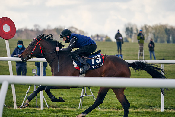 2021-04-12-Dominic-James-Craven-Breeze-Up-Sales-1381