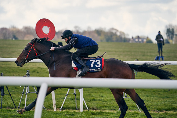 2021-04-12-Dominic-James-Craven-Breeze-Up-Sales-1382