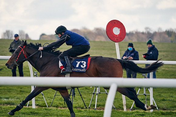 2021-04-12-Dominic-James-Craven-Breeze-Up-Sales-1384