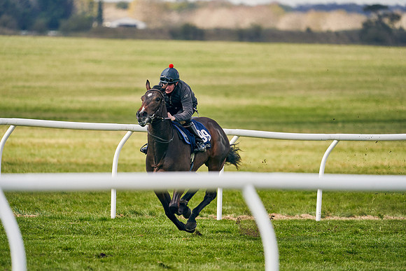 2021-04-12-Dominic-James-Craven-Breeze-Up-Sales-1387