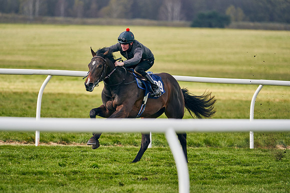 2021-04-12-Dominic-James-Craven-Breeze-Up-Sales-1389