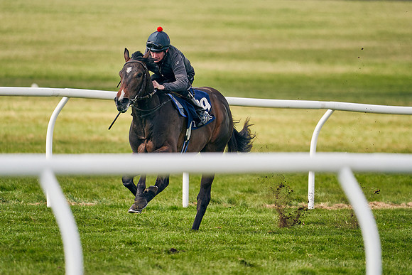 2021-04-12-Dominic-James-Craven-Breeze-Up-Sales-1388