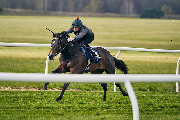 2021-04-12-Dominic-James-Craven-Breeze-Up-Sales-1390