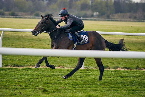2021-04-12-Dominic-James-Craven-Breeze-Up-Sales-1391