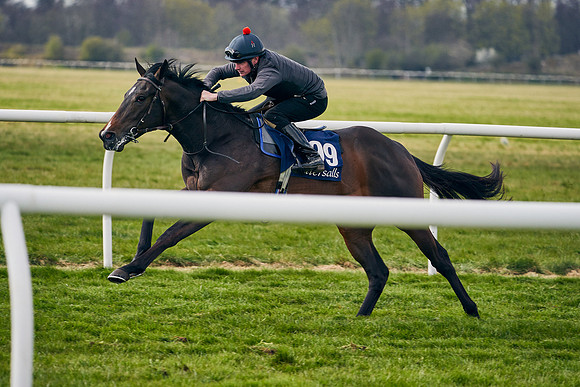 2021-04-12-Dominic-James-Craven-Breeze-Up-Sales-1392