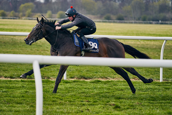 2021-04-12-Dominic-James-Craven-Breeze-Up-Sales-1393