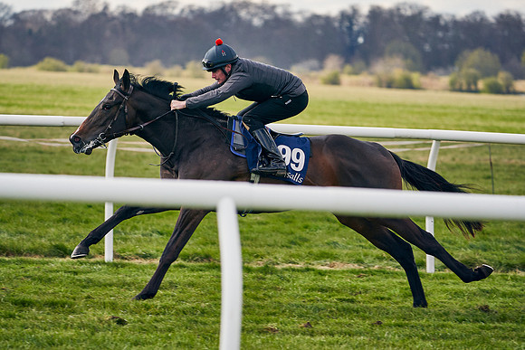 2021-04-12-Dominic-James-Craven-Breeze-Up-Sales-1394