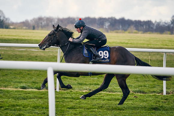 2021-04-12-Dominic-James-Craven-Breeze-Up-Sales-1396