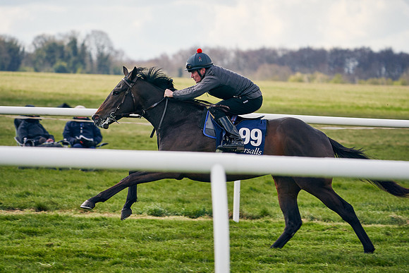 2021-04-12-Dominic-James-Craven-Breeze-Up-Sales-1397
