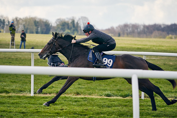 2021-04-12-Dominic-James-Craven-Breeze-Up-Sales-1398