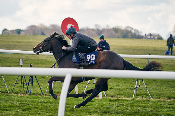 2021-04-12-Dominic-James-Craven-Breeze-Up-Sales-1400
