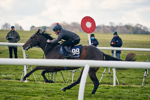 2021-04-12-Dominic-James-Craven-Breeze-Up-Sales-1401