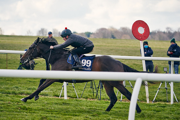2021-04-12-Dominic-James-Craven-Breeze-Up-Sales-1402