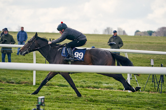 2021-04-12-Dominic-James-Craven-Breeze-Up-Sales-1403