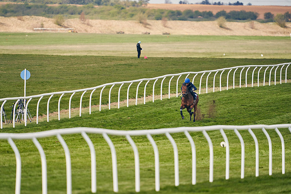 2021-04-12-Dominic-James-Craven-Breeze-Up-Sales-1404