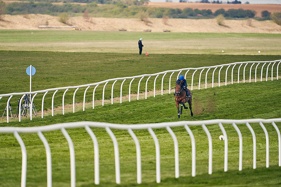 2021-04-12-Dominic-James-Craven-Breeze-Up-Sales-1405